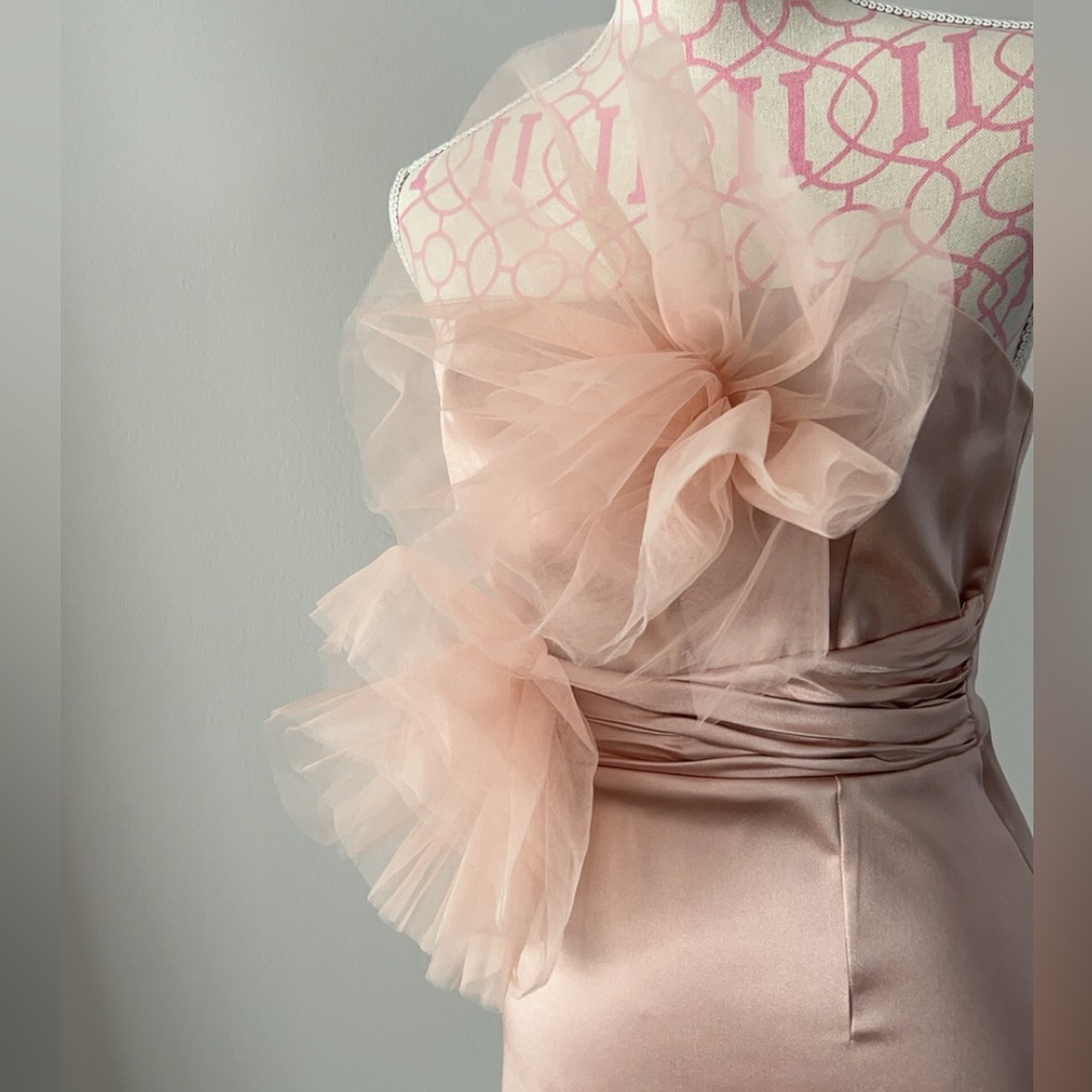 Blush pink Zara dress in size XS. - Picture 3 of 5